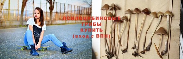 стафф Переславль-Залесский